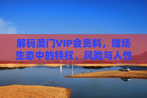解码澳门VIP会员料，赌场生态中的特权、风险与人性博弈