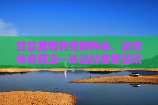 绿茵激情的荧屏舞台，足球体育频道—球迷的专属狂欢地
