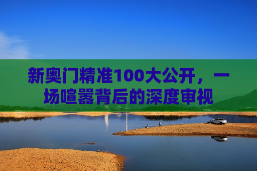新奥门精准100大公开，一场喧嚣背后的深度审视