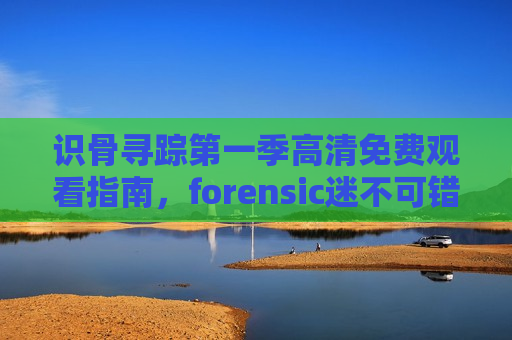 识骨寻踪第一季高清免费观看指南,forensic迷不可错过的经典开篇