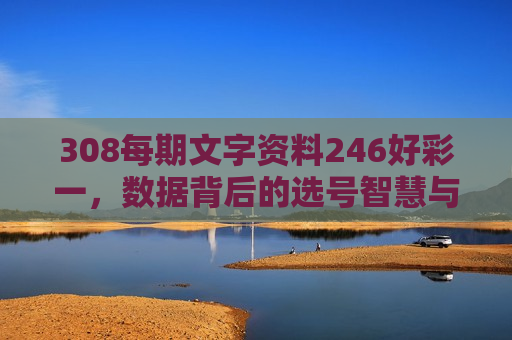308每期文字资料246好彩一，数据背后的选号智慧与实战心得