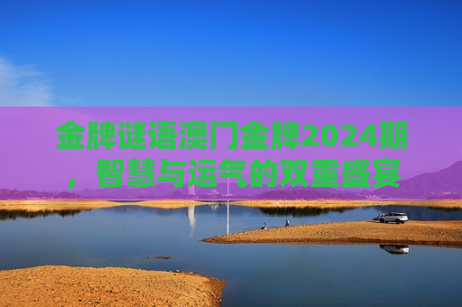 金牌谜语澳门金牌2024期，智慧与运气的双重盛宴