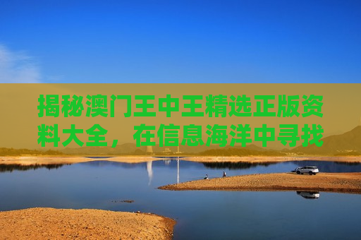 揭秘澳门王中王精选正版资料大全，在信息海洋中寻找真正的价值宝藏