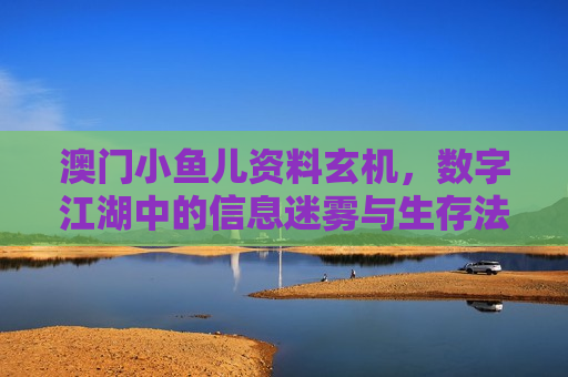 澳门小鱼儿资料玄机，数字江湖中的信息迷雾与生存法则