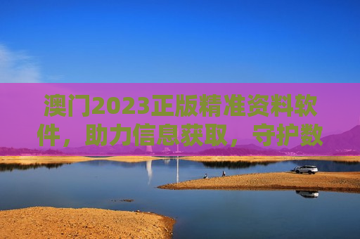 澳门2023正版精准资料软件，助力信息获取，守护数据安全