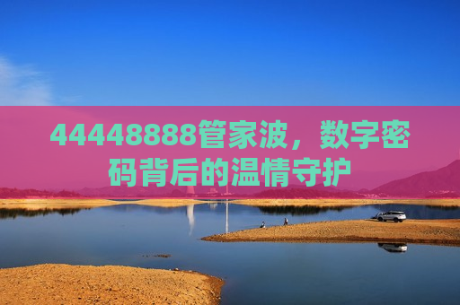 44448888管家波，数字密码背后的温情守护