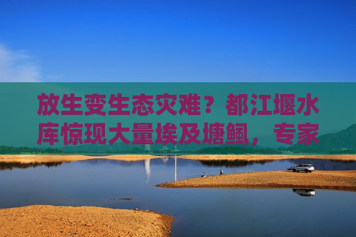 放生变生态灾难？都江堰水库惊现大量埃及塘鲺，专家紧急提醒
