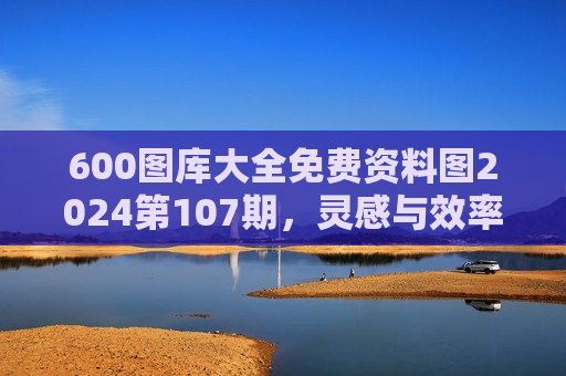 600图库大全免费资料图2024第107期，灵感与效率的源泉，助您轻松搞定视觉设计！
