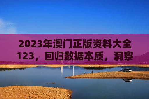 2023年澳门正版资料大全123,回归数据本质,洞察趋势新篇