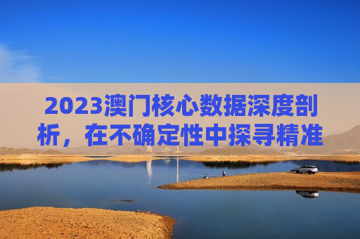 2023澳门核心数据深度剖析,在不确定性中探寻精准与真实